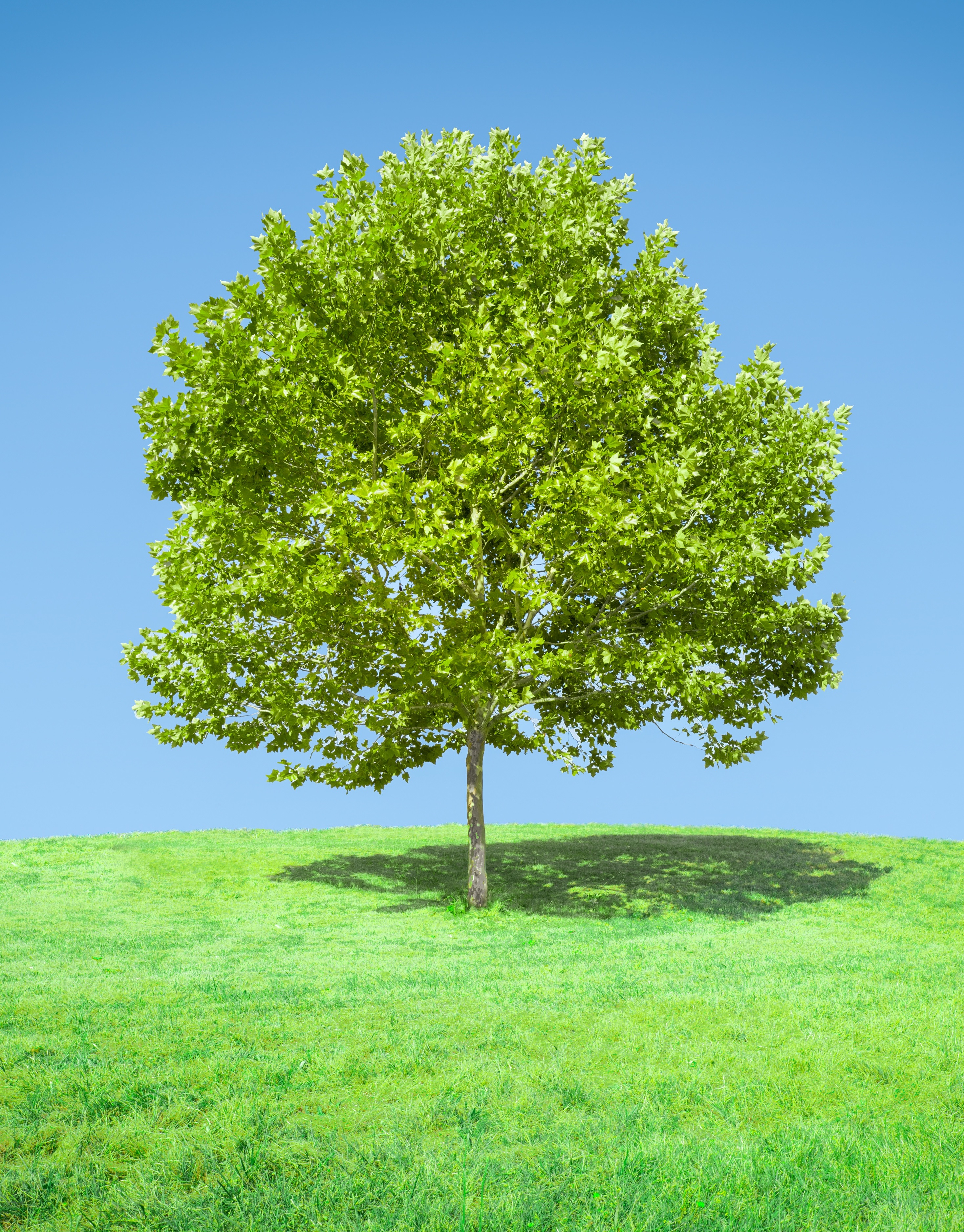 みんなの健康を守る会2｜福岡県